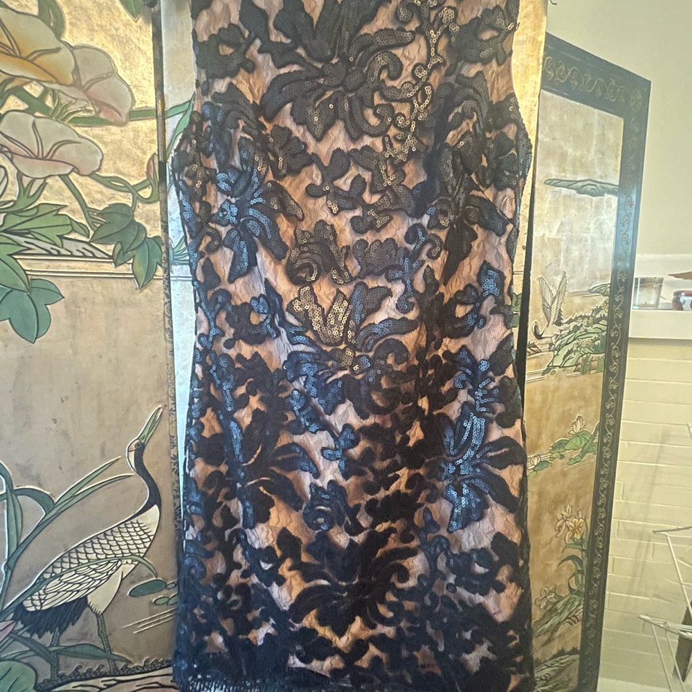 Dress the Population Black Tan Sheath Midi Dress
